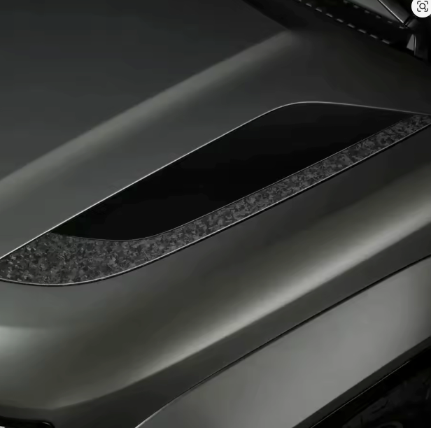 Forged Carbon Side Vents